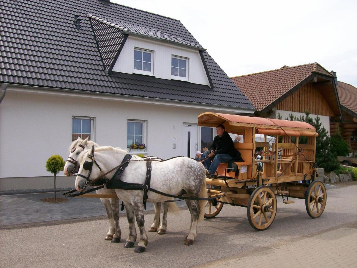 Gastehaus „Haus Am Hahnenberg“ Bed & Breakfast Marmagen Exterior foto